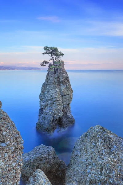 Πορτοφίνο πάρκο. βράχο βράχο δέντρο πεύκων. παρατεταμένη έκθεση. Liguria, Ιταλία — Φωτογραφία Αρχείου