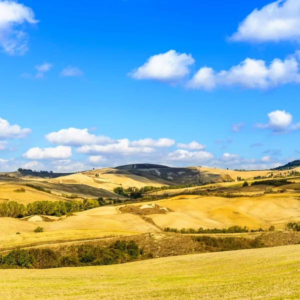 Landelijke landschap van Toscane in de buurt van volterra, Italië. — Stockfoto