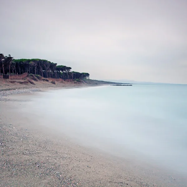 Océan plage de sable baie et pinède par mauvais temps — Photo