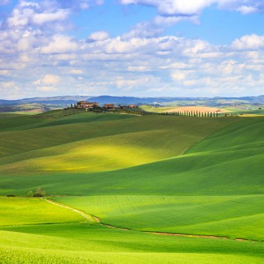 Toskana, Girit senesi yeşil alanlar ve inişli çıkışlı tepeler peyzaj, İtalya.