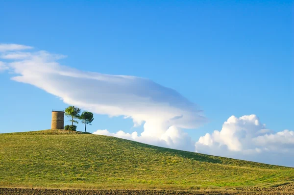 Toskania, krajobraz regionu maremma. wiejski wieża, zielone pola i drzewa. — Zdjęcie stockowe