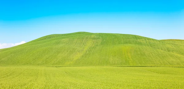 Fondo rural, colinas onduladas y campos verdes paisaje, Toscana, Italia . — Foto de Stock