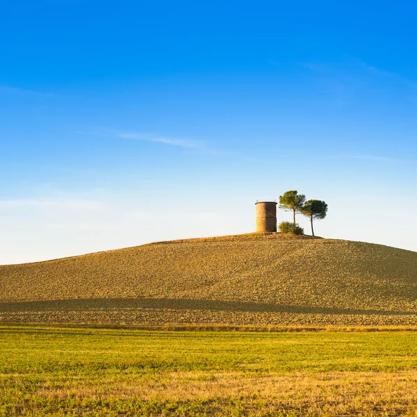 Toscana, Maremma paisagem pôr do sol. Torre rural e árvore na colina . — Fotografia de Stock