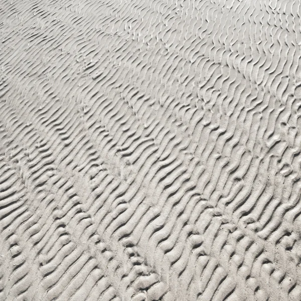 湿波纹细砂纹纹理的海滩上 — 图库照片