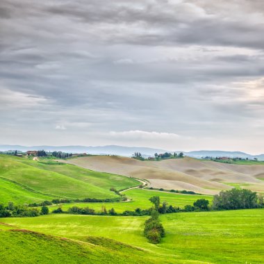 Toskana, kırsal manzara. kırsal tarım arazileri, beyaz yol ve ağaçlar. Orcia Vadisi, Toskana, İtalya.