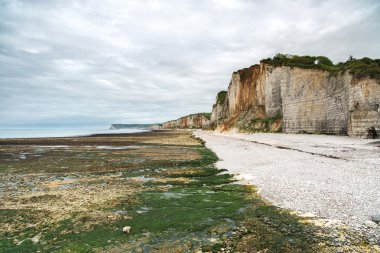 yport ve fecamp, normandy. plaj, cliff ve düşük gelgit kayalarda