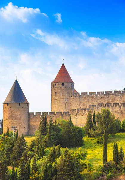 Cité de Carcassonne, cité fortifiée médiévale au coucher du soleil. Site Unesco — Photo