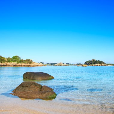 Ploumanach, rock and bay beach in morning, Brittany, France. clipart