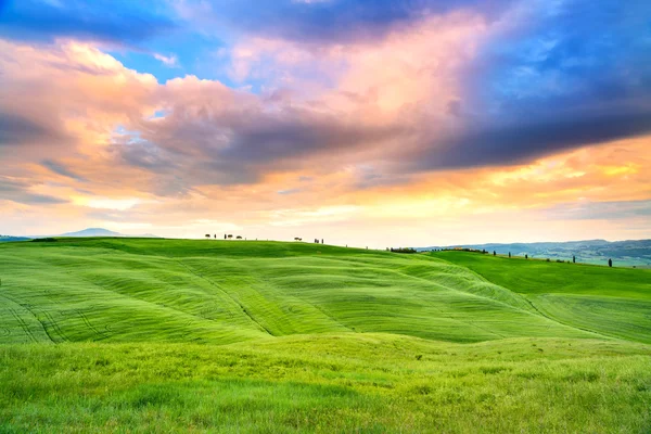 Toscane zonsondergang, cipressen en groene velden. San quirico orcia, Italië. — Stockfoto