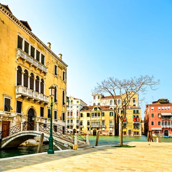 Venetië stadsgezicht, brug, boom en gebouwen op water grand canal. Italië. — Stockfoto