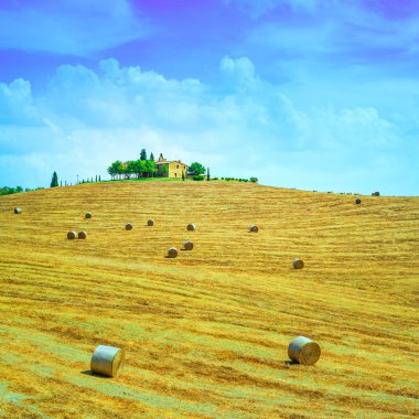 Toskana, tarım tepe tepe, saman rulo ve hasat yeşil alanlar. Val d orcia, İtalya.