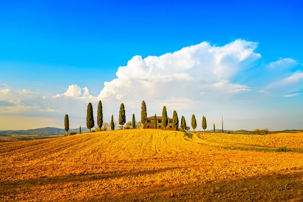 Tuscany, farmland, cypress trees and white road. — Stock Photo, Image