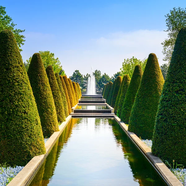 Jardim em Keukenhof, linhas de sebes cônicas, piscina de água e fonte. Países Baixos — Fotografia de Stock