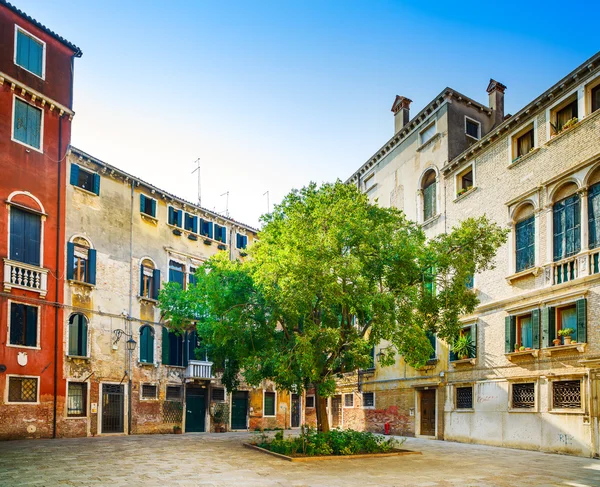 Venezia paesaggio urbano, alberi ed edifici in una piazza. Italia . — Foto Stock