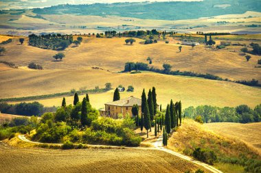 Toskana, tarım arazisi ve servi ağaçları, yeşil alanlar. San quirico orcia, İtalya.