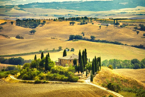 Toscana, jordbruksmark och cypress träd, gröna fält. San quirico orcia, Italien. — Stockfoto