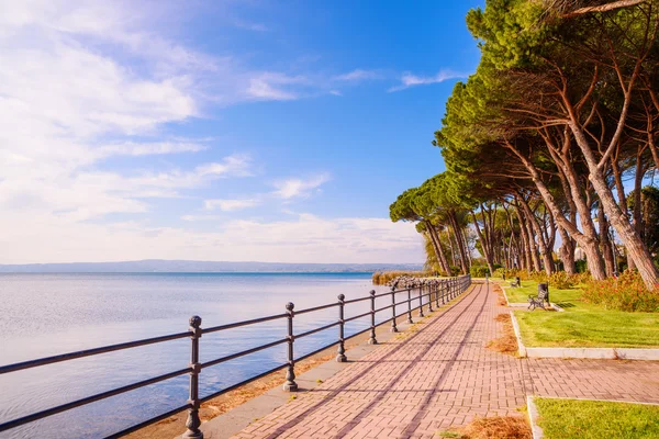Promenade and pine trees in Bolsena lake, Italy. — Stock Photo, Image
