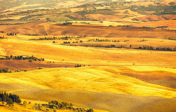 Pienza, solnedgång landskapet. landsbygden gård och gröna fält — Stockfoto