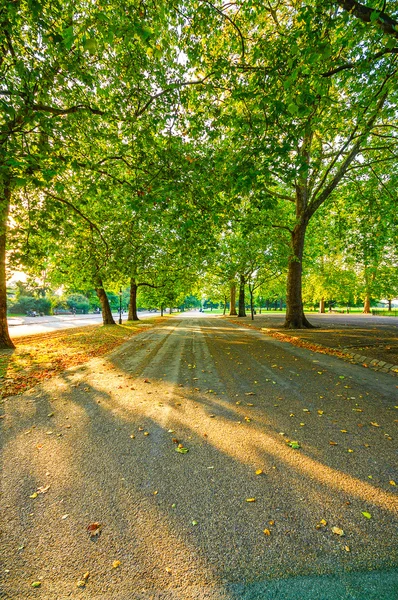 Światło słoneczne i drzew w hyde park jesienią zachód słońca. London, Wielka Brytania — Zdjęcie stockowe