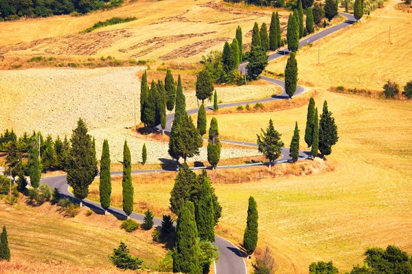 Живописная дорога на кипарисе в Монтикьелло, недалеко от Сиены, Тоскана — стоковое фото