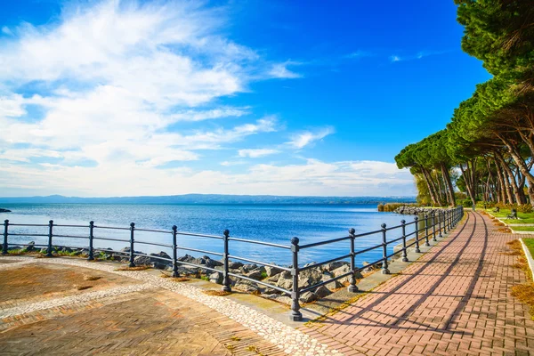 Strandpromenaden och tall träd i bolsena-sjön, Italien. — Stockfoto