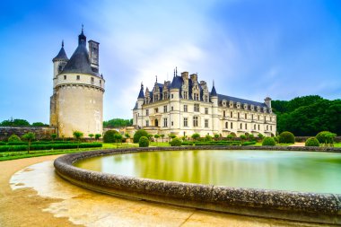 Chateau de chenonceau unesco Ortaçağ Fransız Kalesi ve havuz gar