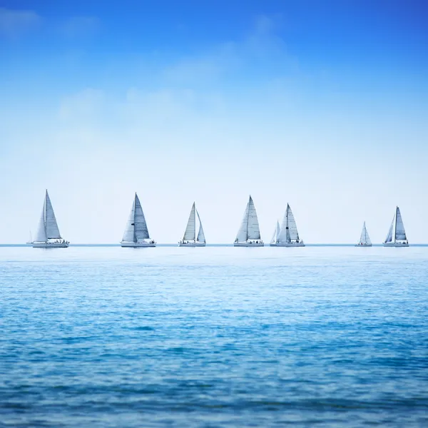 yelkenli tekne yat yarışı yarış deniz ya da okyanus su