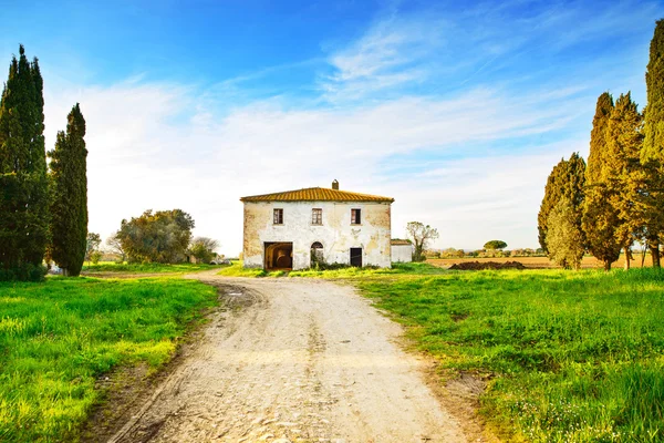 在 sunset.tuscany，ita 上被遗弃的农村房屋、 道路和树木 — 图库照片