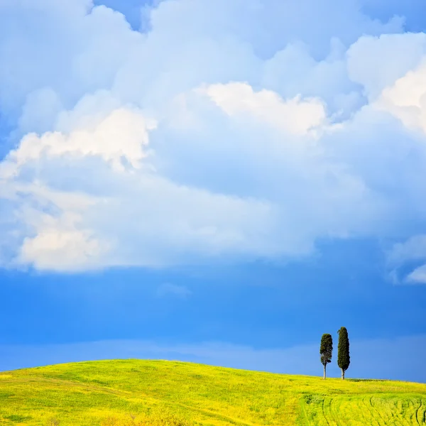 Toscana, dois ciprestes solitários e uma colina rural. Siena, Orcia V — Fotografia de Stock