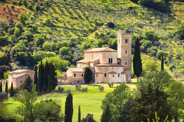 Kyrkan Sant antimo montalcino och olivträd. Orcia, Toscana, det — Stockfoto