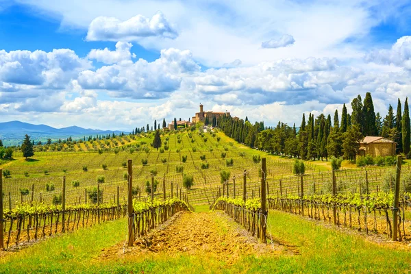 Tuscany, vineyard, cypress trees and village. Rural landscape, I — Stock Photo, Image