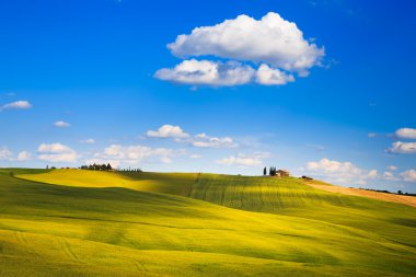 Toskana, tarım arazisi ve servi ağaçları, yeşil alanlar. Pienza, İtalya