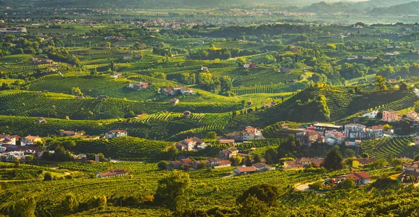 Prosecco Hills Vista Panorâmica Vinhas Vinícolas Patrimônio Mundial Unesco Valdobbiadene — Fotografia de Stock