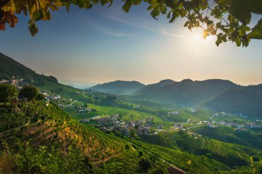 Prosecco Hills, üzüm bağları sabah panoramik manzara ve çerçeve olarak ayrılıyor. Unesco Dünya Mirası Alanı. Valdobbiadene, Treviso ili, Veneto bölgesi, İtalya, Avrupa.