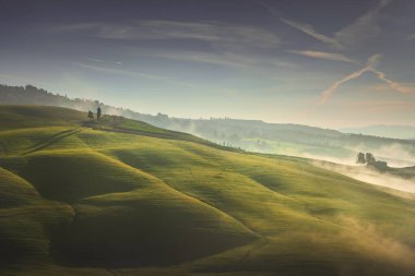 Volterra sisli panorama, ağaçlar, yuvarlanan tepeler ve gün doğumunda yeşil alanlar. Toskana İtalya, Avrupa
