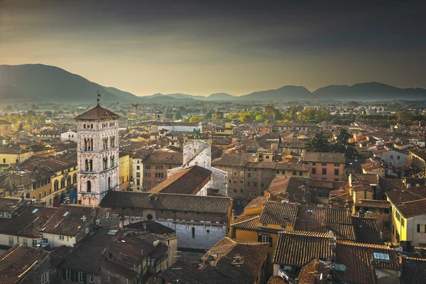 Lucca Panoramiczny Widok Miasto San Michele Katedrze Foro Zachodzie Słońca — Zdjęcie stockowe