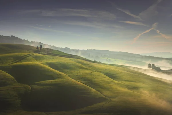 Volterra Mlhavé Panorama Stromy Zvlněné Kopce Zelená Pole Při Východu — Stock fotografie