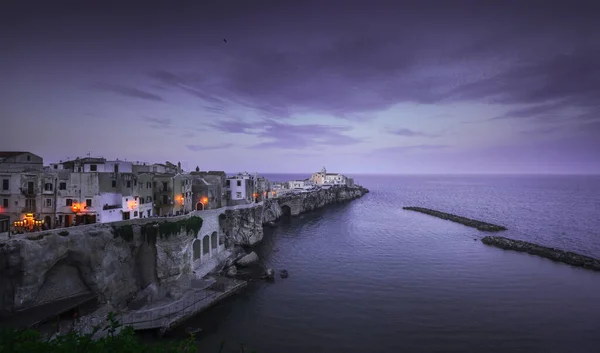 Vieste Town Rocks Blue Hour Gargano Peninsula Apulia Puglia Southern — Foto Stock