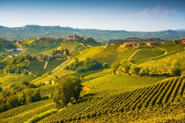 Langhe üzüm bağları manzarası ve Castiglione Falletto köyü manzarası, Unesco Sitesi, Piedmont, Kuzey Avrupa.