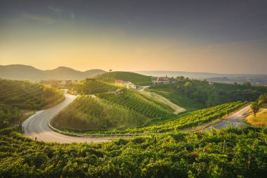 Üzüm bağları ve gün doğumunda bir yol. Prosecco Hills, Unesco Dünya Mirası Bölgesi. Valdobbiadene, Veneto, İtalya