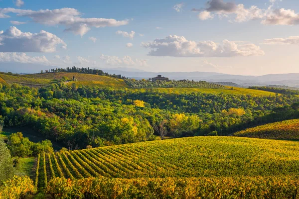 Gaiole Chianti Wijngaard Panorama Bij Zonsondergang Herfst Toscane Italië Europa — Stockfoto
