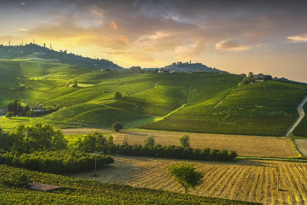 Vinhas Langhe Panorama Por Sol Barolo Morra Unesco Site Piemonte — Fotografia de Stock