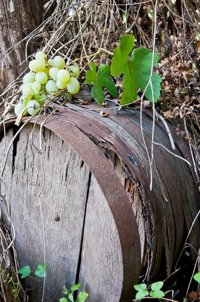 Oude wijn vat — Stockfoto