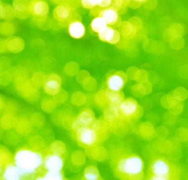 soyut holiday lights