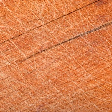 yaşlı bir ağaç arka plan