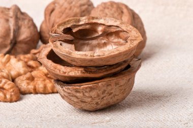 eski kumaş zemin ceviz