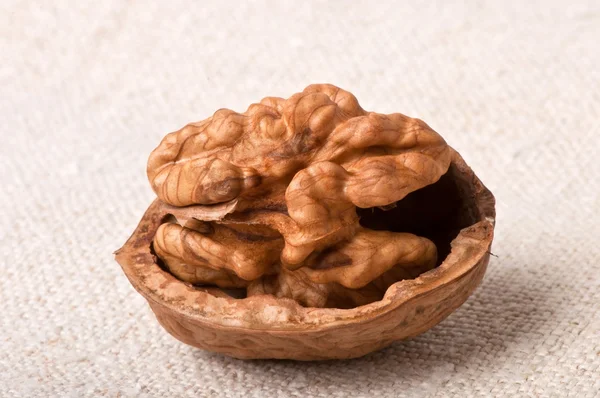 Nueces — Foto de Stock