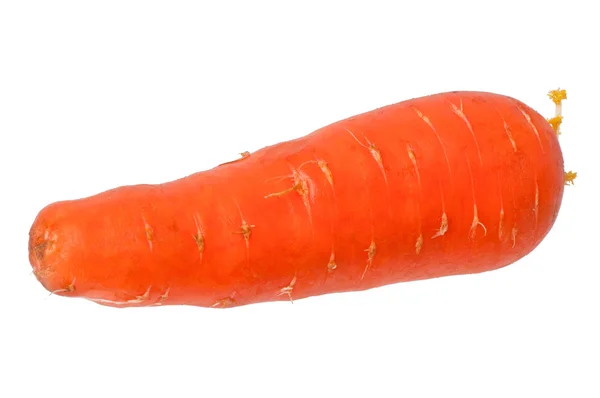 Zanahorias sobre fondo blanco —  Fotos de Stock