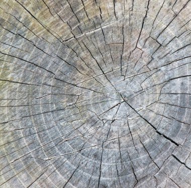 eski ahşap doku arkaplanı