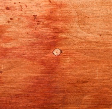 yaşlı bir ağaç arka plan